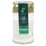 Лампа Bolsius 102420110301