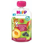 Hipp Hippis Apple-Peach-Blueberry-Raspberry Fruit Puree 100g