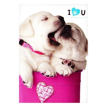 Malevaro Cats-Dogs Notebook 40 sheets in assortment Malevaro Cats-Dogs Notebook 40 sheets in assortment - buy, prices for - photo 7