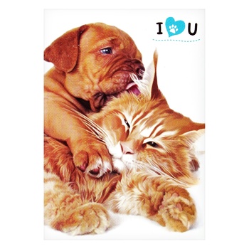 Malevaro Cats-Dogs Notebook 40 sheets in assortment Malevaro Cats-Dogs Notebook 40 sheets in assortment - buy, prices for - photo 3