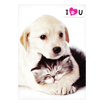 Malevaro Cats-Dogs Notebook 40 sheets in assortment Malevaro Cats-Dogs Notebook 40 sheets in assortment - buy, prices for - photo 6