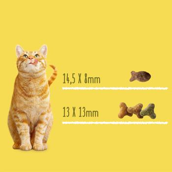 Корм сухий Friskies з лососем та овочами для дорослих котів 10кг - купити, ціни на MasterZoo - фото 5