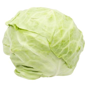 Cabbage Young - buy, prices for - photo 3