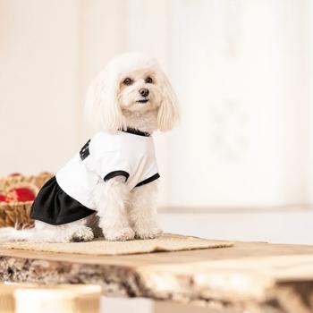 Pet Fashion Chanti сукня для собак XS - купить, цены на MasterZoo - фото 4