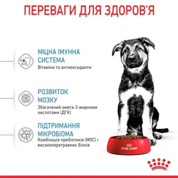 Royal Canin Maxi Puppy сухий корм для цуценят 12 кг - купити, ціни на MasterZoo - фото 4