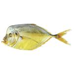 Samyi Smak Shelf Cold Smoked Moonfish