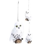 Koopman Owl Christmas Tree Decoration