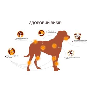 Chewllagen ласощі з колагеном пончик для собак 8,8 см 1 шт - яловичина - купити, ціни на MasterZoo - фото 4