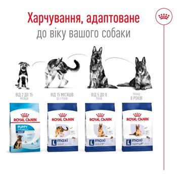 Корм сухий Royal Canin Maxi Adult з домашньою птицею для собак великих порід 12кг - купити, ціни на MasterZoo - фото 6