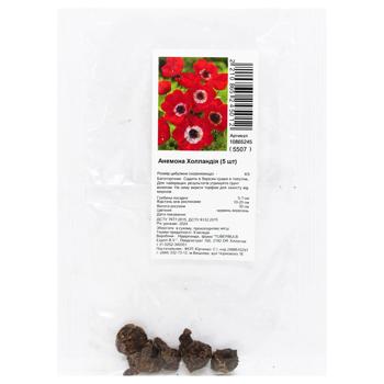 Коренелуковица анемон Холландия 5шт - купить, цены на МегаМаркет - фото 1