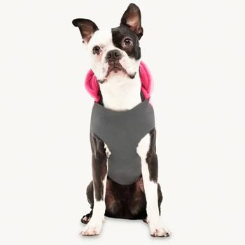 Goo-eez Hooded Signature Winter Jacket for Dogs with Hood s.S Pink - buy, prices for MasterZoo - photo 2