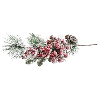 Ornamental plant Without brand China - buy, prices for Tavria V - photo 1