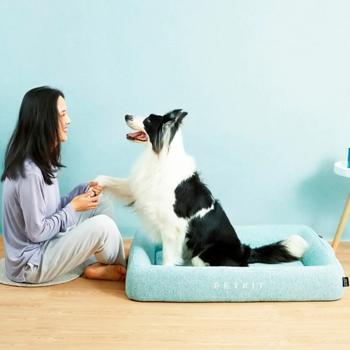 Sunbed Petkit China - buy, prices for MasterZoo - photo 2