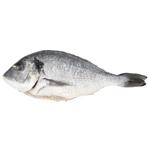 Дорадо очищенная