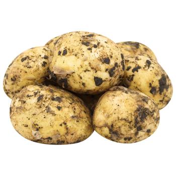 Early Young Potatoes - buy, prices for Chudo Market - photo 1