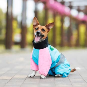Pet Fashion Milly Overalls for Dogs with Reflective Elements s.XL corgi - buy, prices for MasterZoo - photo 7