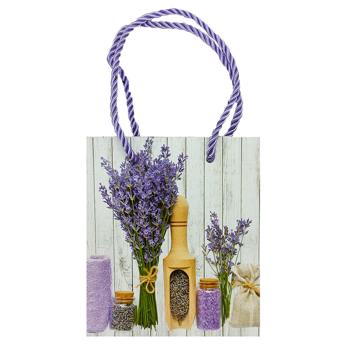 Gift Bag 10331-9673XS - buy, prices for Chudo Market - photo 1