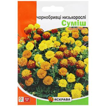 Yaskrava Mix Low-growing Marigolds Seeds 5g