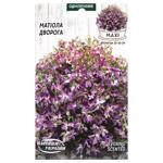 Nasinnia Ukrainy Maxi Night-scented Stock Flowers Seeds 5g