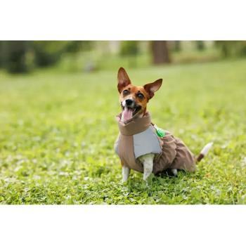 Pet Fashion Chip Vest for Dogs s.S2 dachshund - buy, prices for MasterZoo - photo 2
