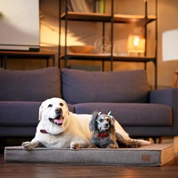 Noble Pet Nolan Teddy Pet Mattress 100x80cm Beige - buy, prices for MasterZoo - photo 3
