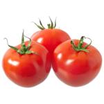 Tropic Tomato Turkey
