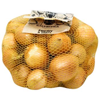 Onion in Grid 3kg - buy, prices for - photo 1