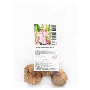 Bulb for garden 3pcs Netherlands - buy, prices for MegaMarket - photo 1