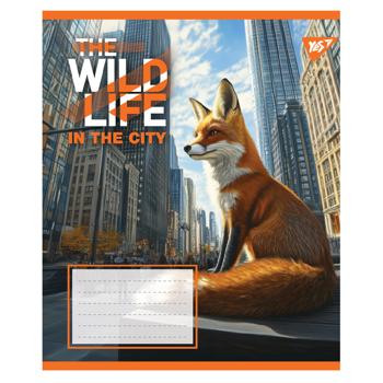 Зошит Yes The Wild in The City клітинка А5 24 аркуші - купити, ціни на - фото 2