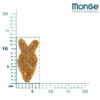 Корм сухий Monge Monoprotein з лососем для котів 400г - купити, ціни на MasterZoo - фото 2