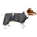 Raincoat Pet fashion
