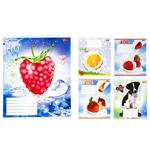 Тетрадь Мрії збуваються в косую линию 12 листов в ассортименте