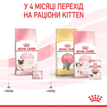 Royal Canin Mother & Babycat Dry Food with Poultry for Kittens, Pregnant and Lactating Cats 8+2kg - buy, prices for - photo 7