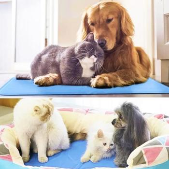 Килимок Master Zoo охолоджуючий XL 78 х 93 см - кольори в асортименті - купить, цены на MasterZoo - фото 8