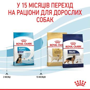 Корм сухий Royal Canin Maxi Puppy з домашньою птицею для цуценят великих порід 3кг - купити, ціни на MasterZoo - фото 6