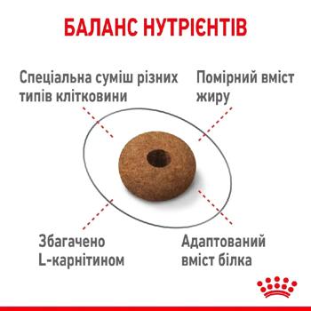 Набір корму Royal Canin Appetite Control для стерилізованих котів які випрошують корм cухий 2кг + вологий 4шт х 85г - купити, ціни на MasterZoo - фото 5