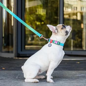 Waudog Nylon Recycled Leash 122cm / 20mm Gradient Blue - buy, prices for MasterZoo - photo 3