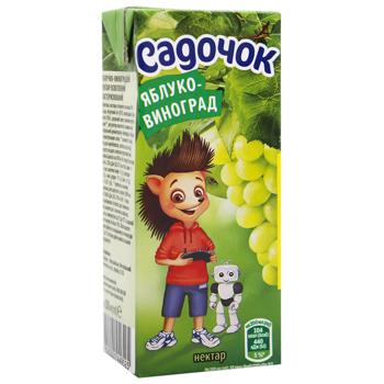 Sadochok Apple-grapes Nectar 200ml - buy, prices for Supermarket "Kharkiv" - photo 1