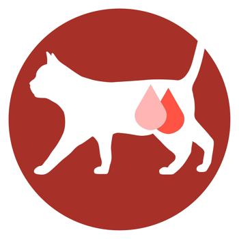 Purina One Sterilcat Wet Food with Turkey and Green Beans for Cats 85g - buy, prices for Ideal - photo 4