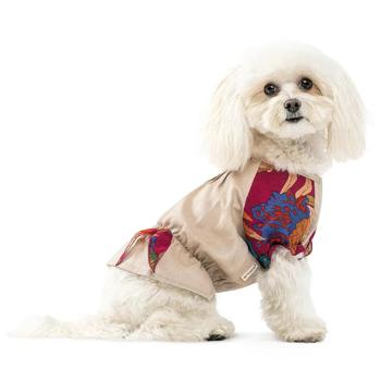 Pet Fashion Solomiya Shirt for Dogs s.XS Beige - buy, prices for MasterZoo - photo 5