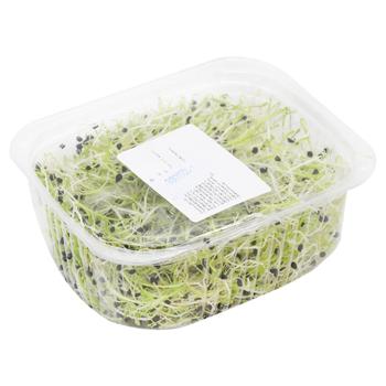Microgreen Onions 50g - buy, prices for ULTRAMARKET - photo 2