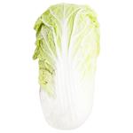 Napa Cabbage