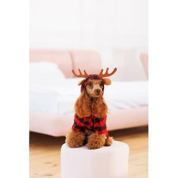 Костюм для собак Pet Fashion Xmas S - купити, ціни на MasterZoo - фото 5