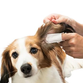 Салфетки Trixie Ear Care для ушей собак и кошек с алоэ вера и гамамелисом 50шт - купить, цены на MasterZoo - фото 3