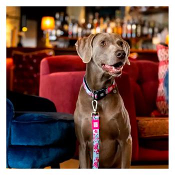Max Molly Short Leash Цвітіння вишні повідець для собак  1,2 м х 1,5 см - різнокольоровий - купить, цены на MasterZoo - фото 3