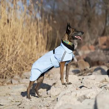 Raincoat Noble pet 4xl Ukraine - buy, prices for MasterZoo - photo 7