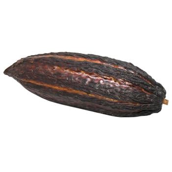 Cocoa Fruit - buy, prices for - photo 1