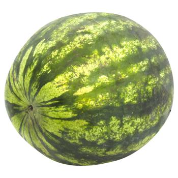 Yellow Watermelon - buy, prices for METRO - photo 2