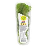 Good for Life Mint  50g