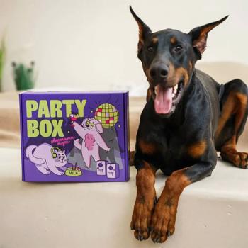 Набір MasterZoo Party Box для собак середніх та великих порід - купити, ціни на MasterZoo - фото 4